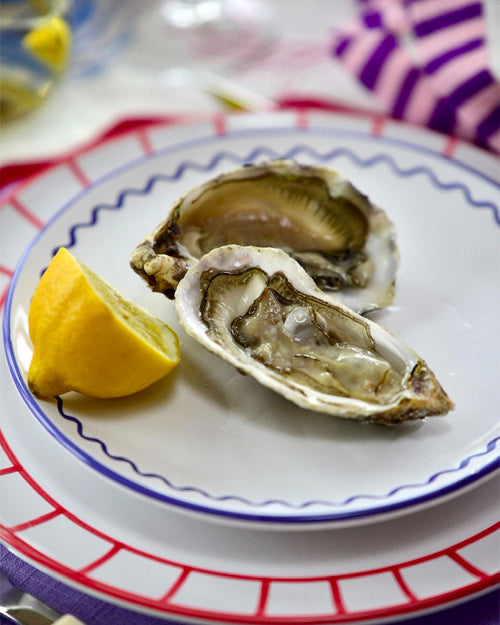 Teller DINNER FENCE rot Bild 3